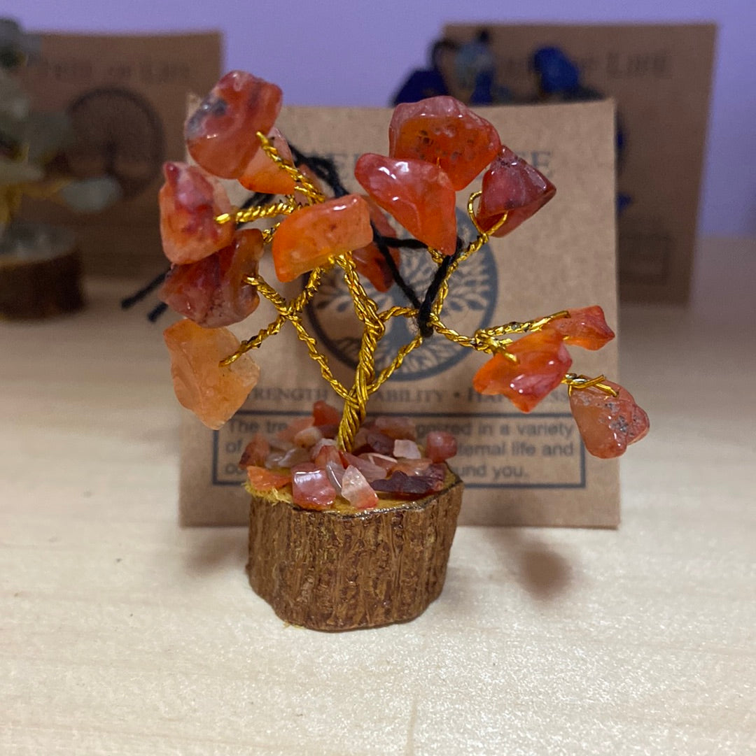 Mini Tree of Life