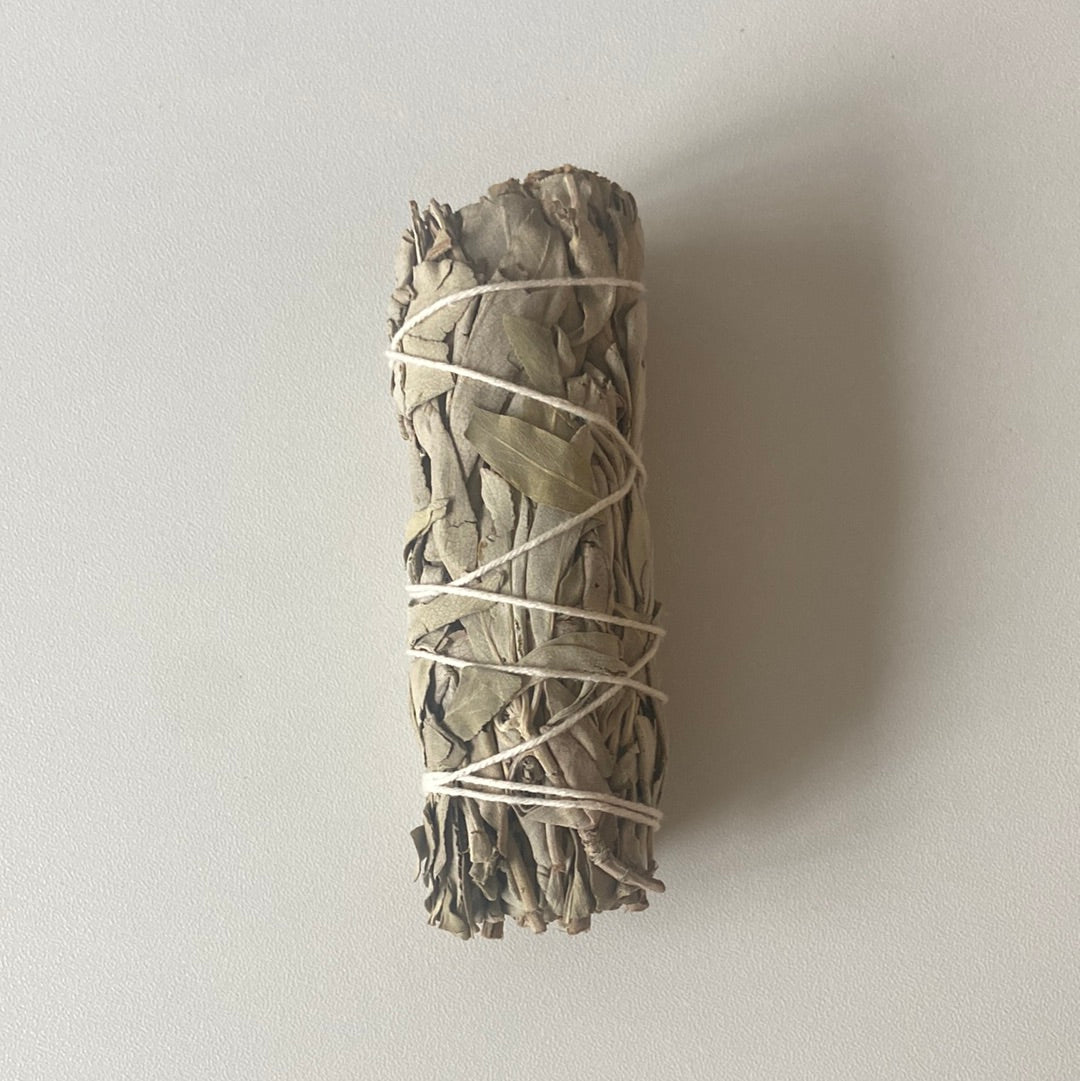 White Sage 4 inch