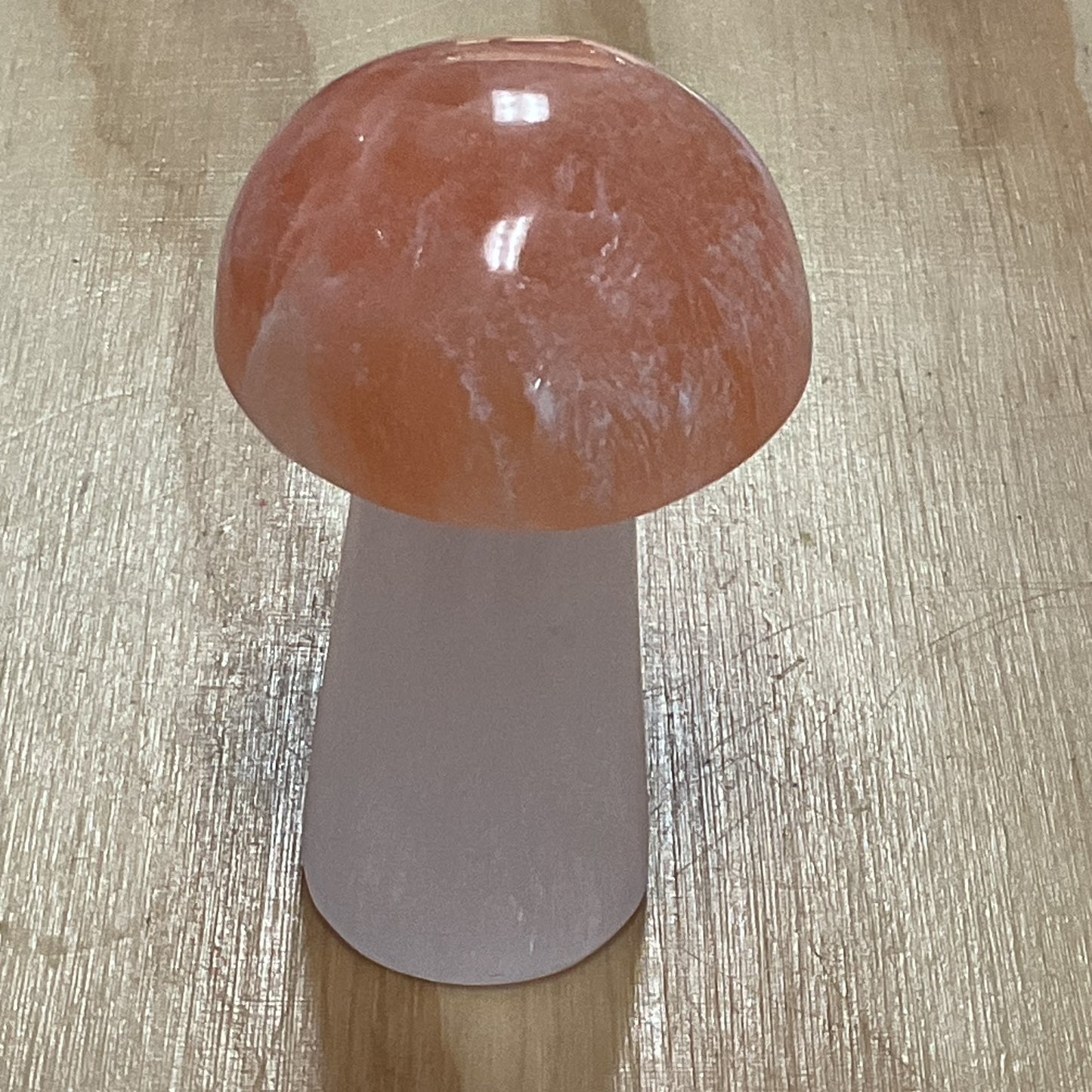 Hongo de copa naranja selenita