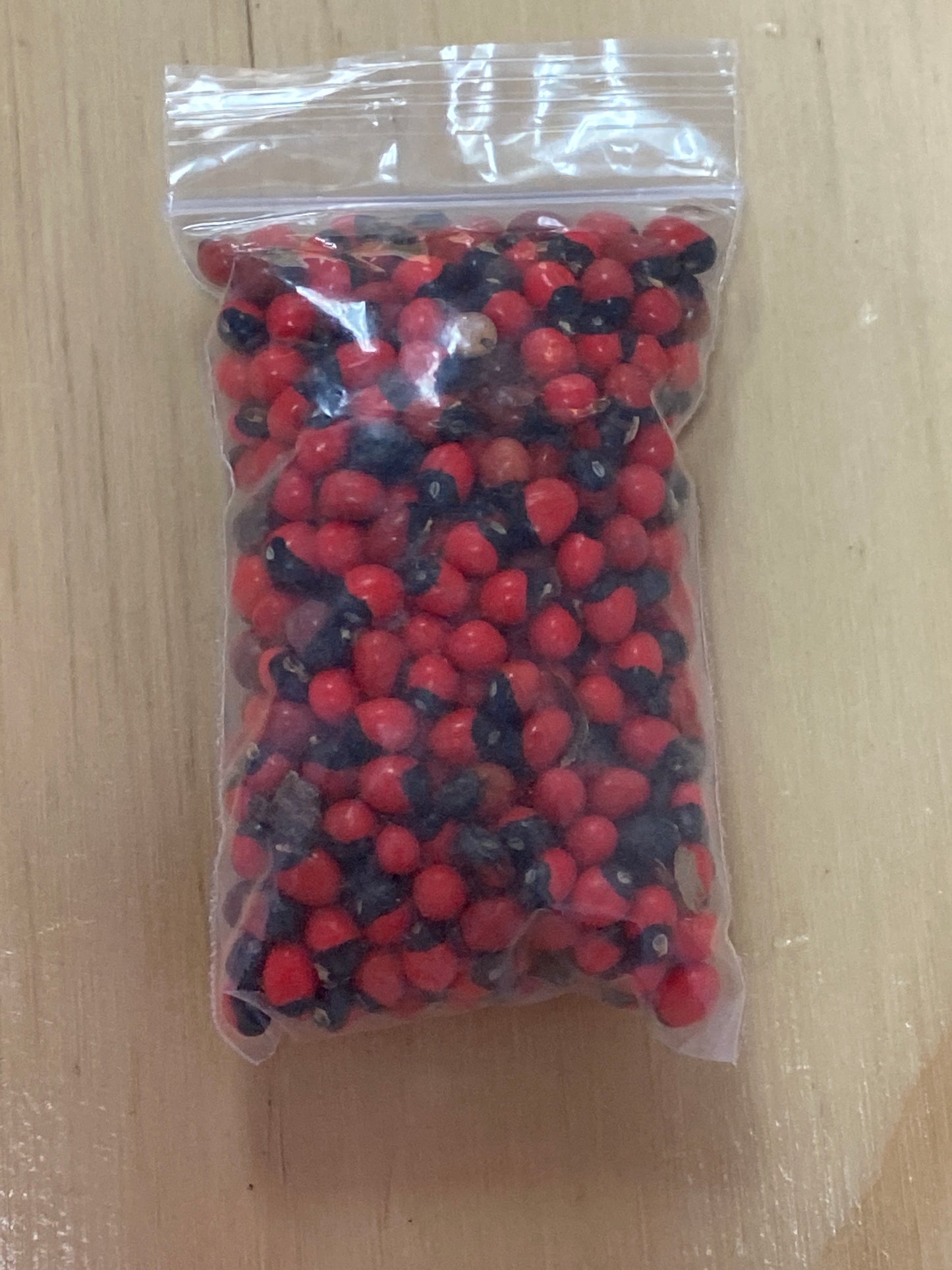 Rosary Peas (Jequirity Beans) – Spiritual Protection Seeds