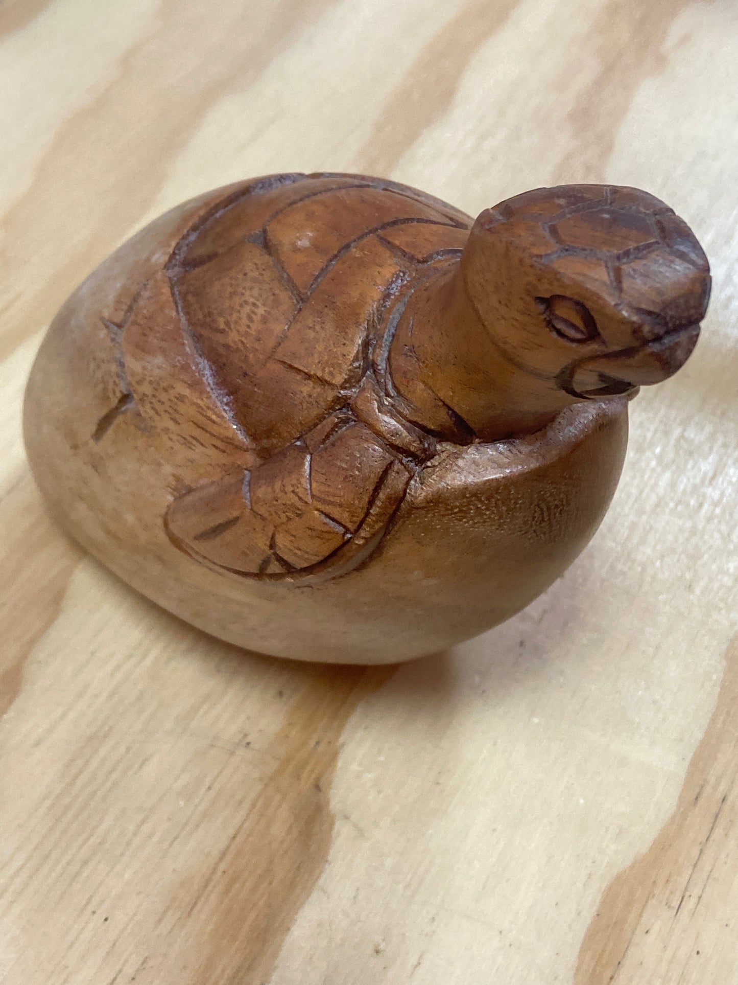 Wooden Turtle Big