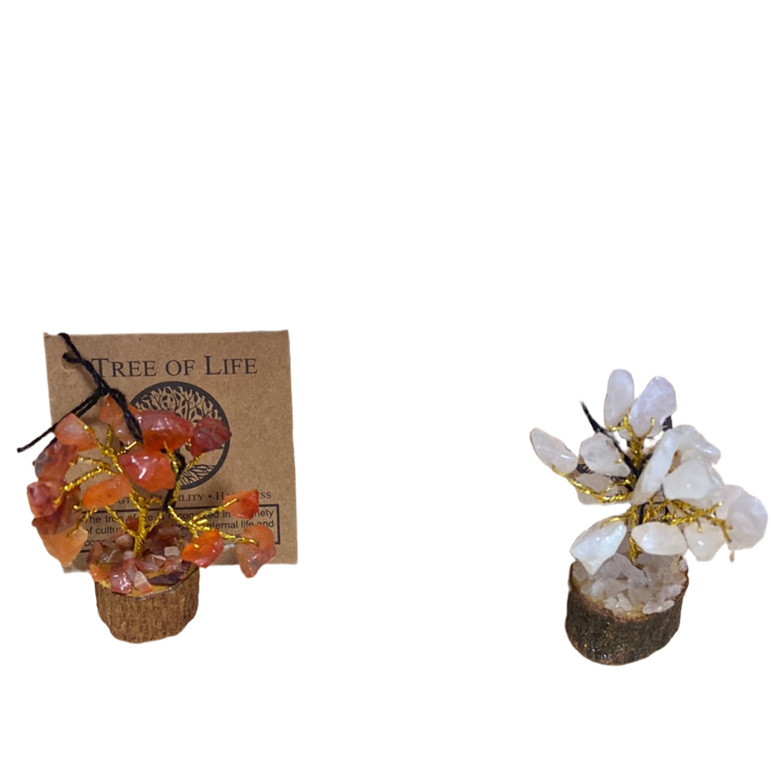 Mini Tree of Life