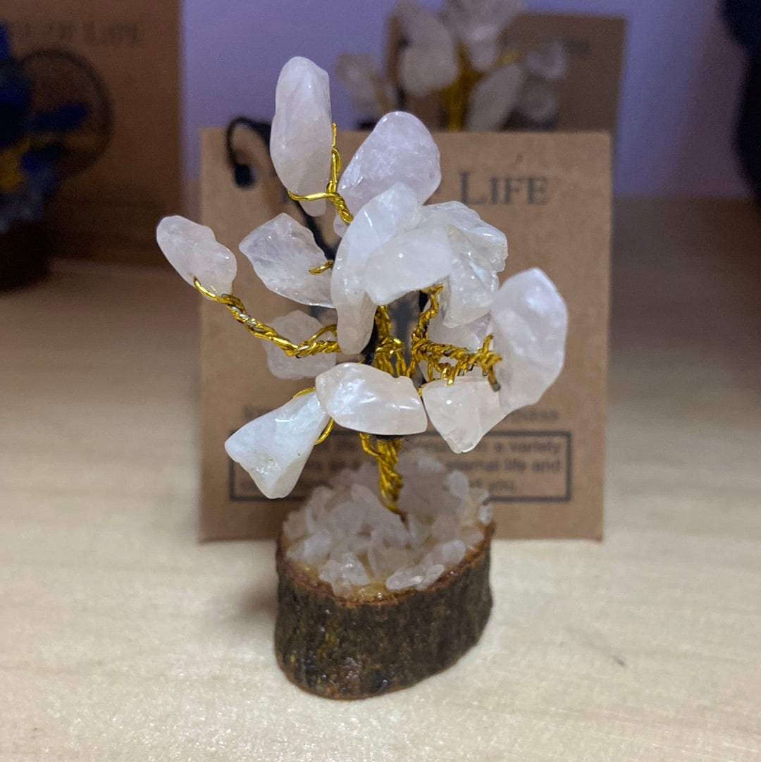 Mini Tree of Life