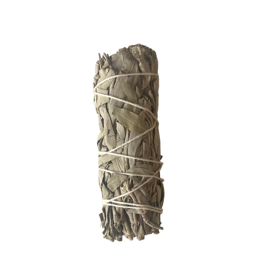 White Sage 4 inch