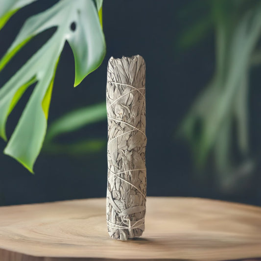 9 inch White Sage Smudge - Iluterra