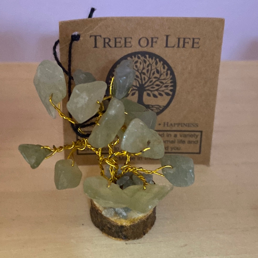 Mini Tree of Life