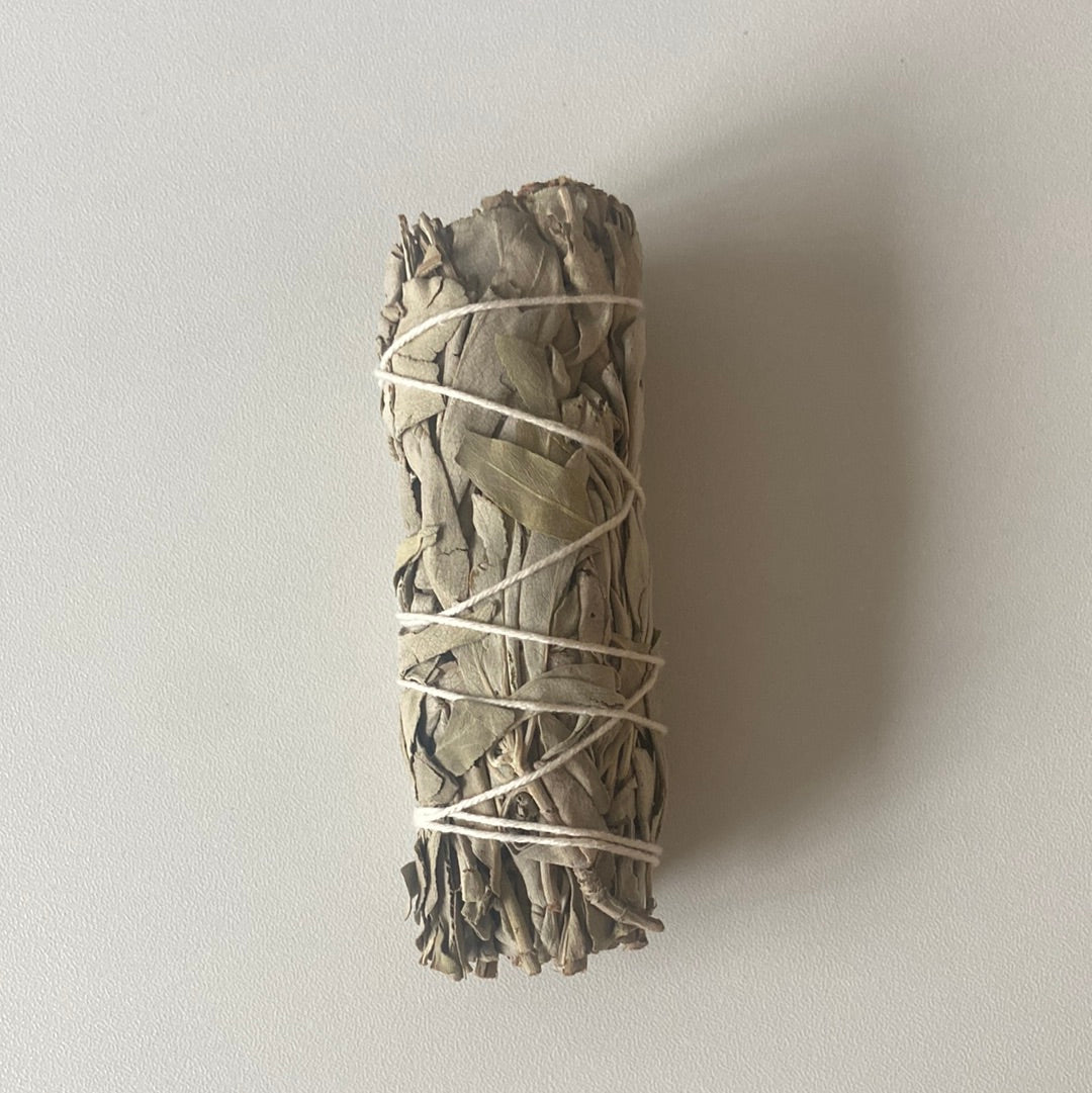 White Sage 4 inch