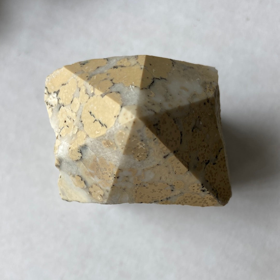 Picture Jasper Power Point Stone
