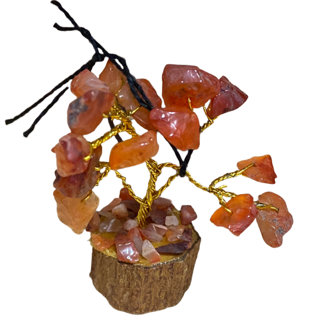 Mini Tree of Life