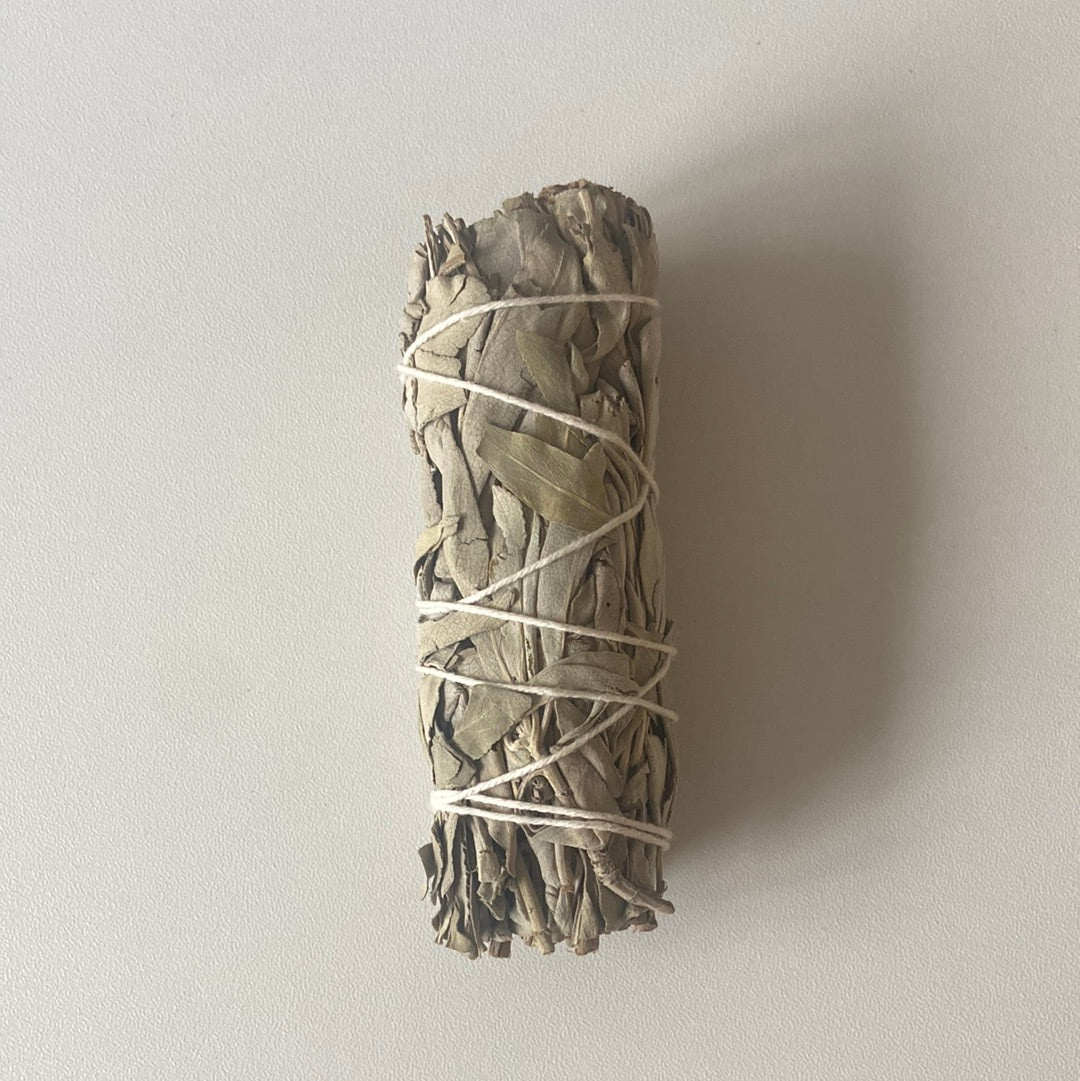 White Sage 4 inch