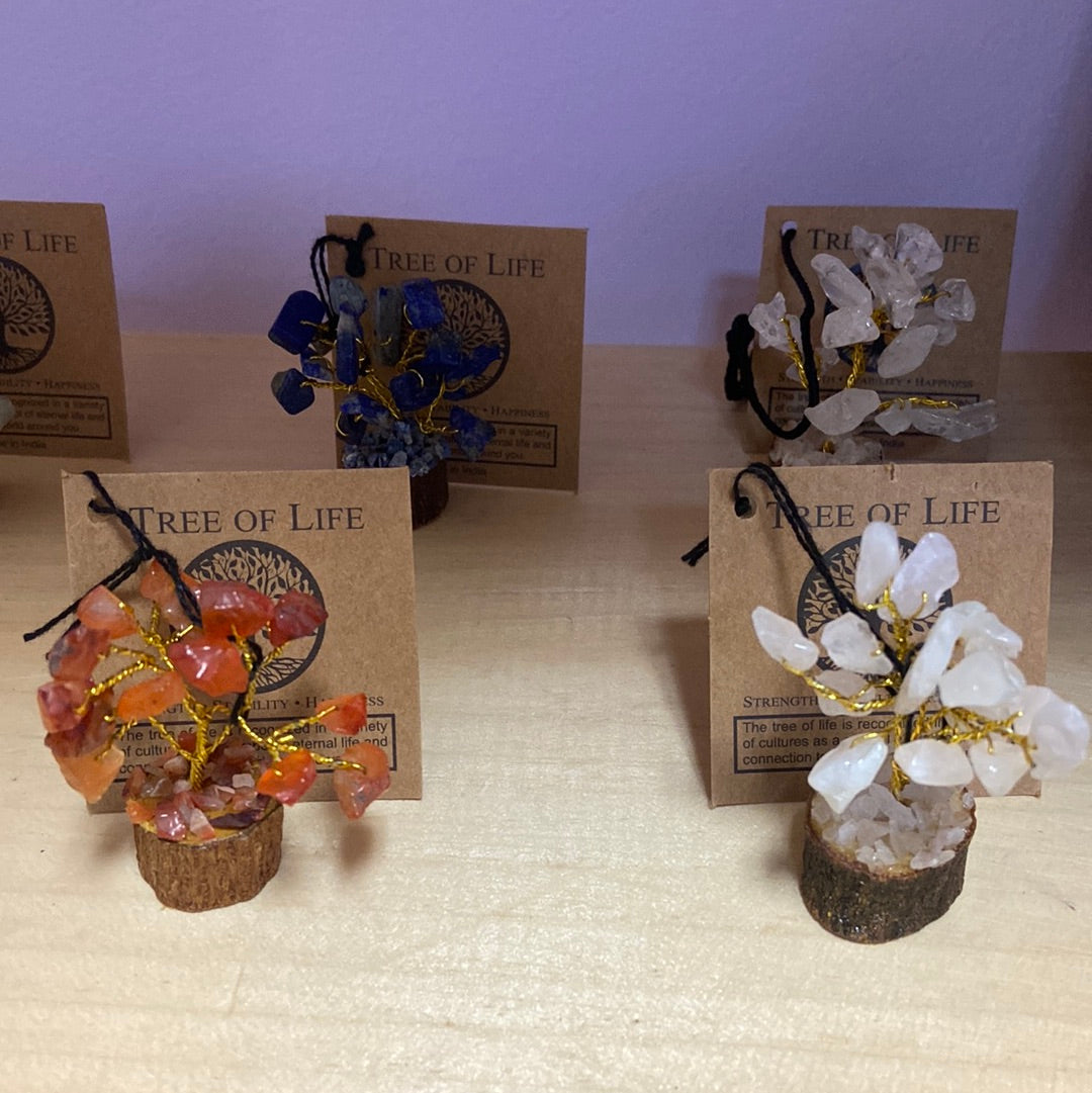 Mini Tree of Life