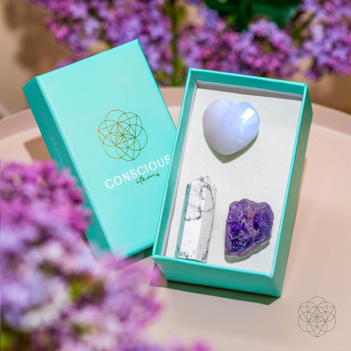 Conductor concentrado - Kit de protección Crystal Car