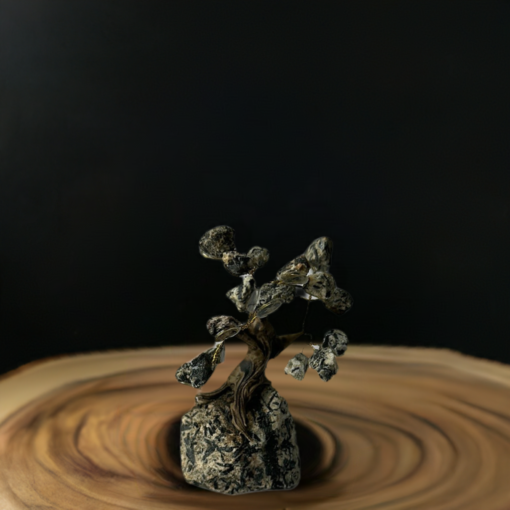 Mini Bonsais
