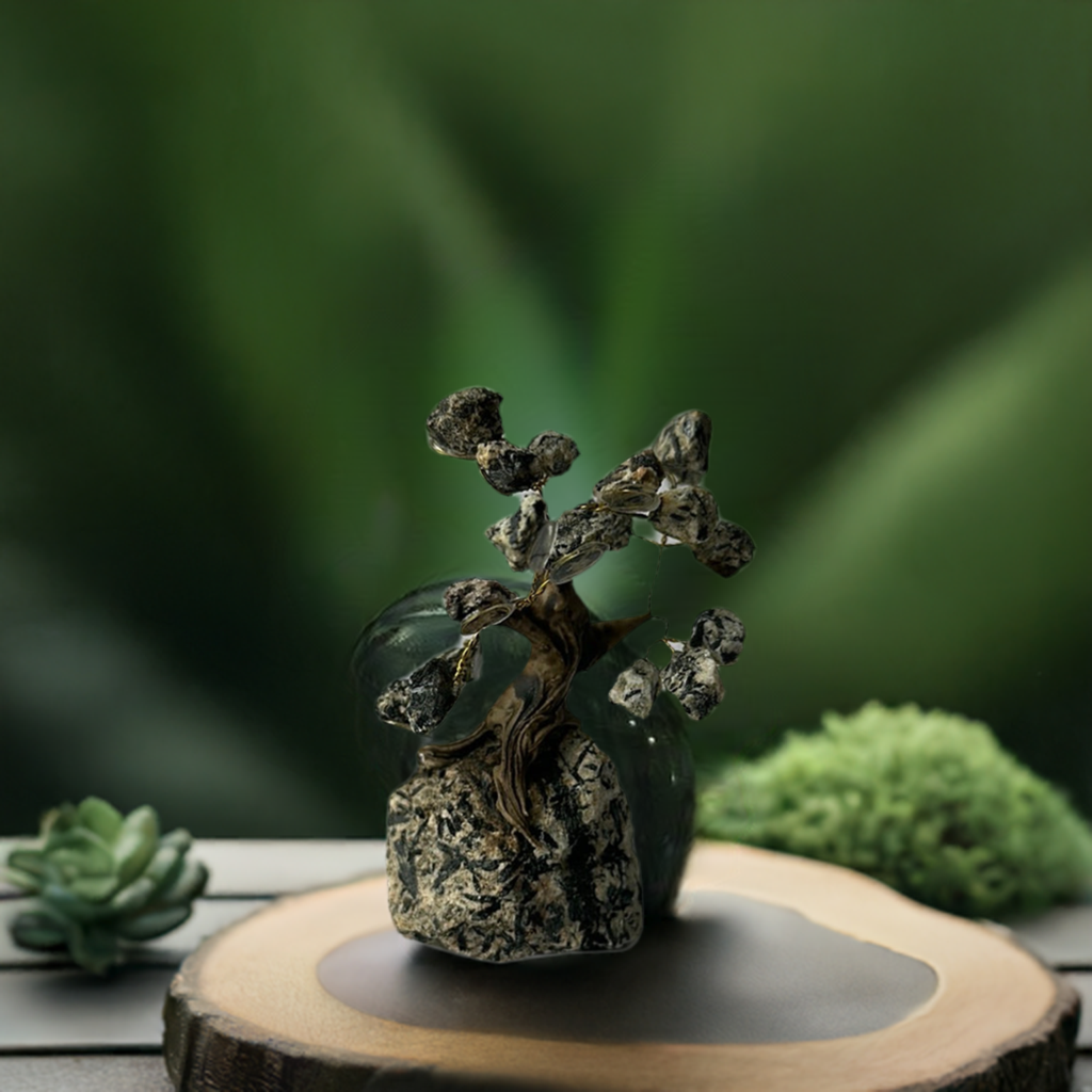 Mini Bonsais