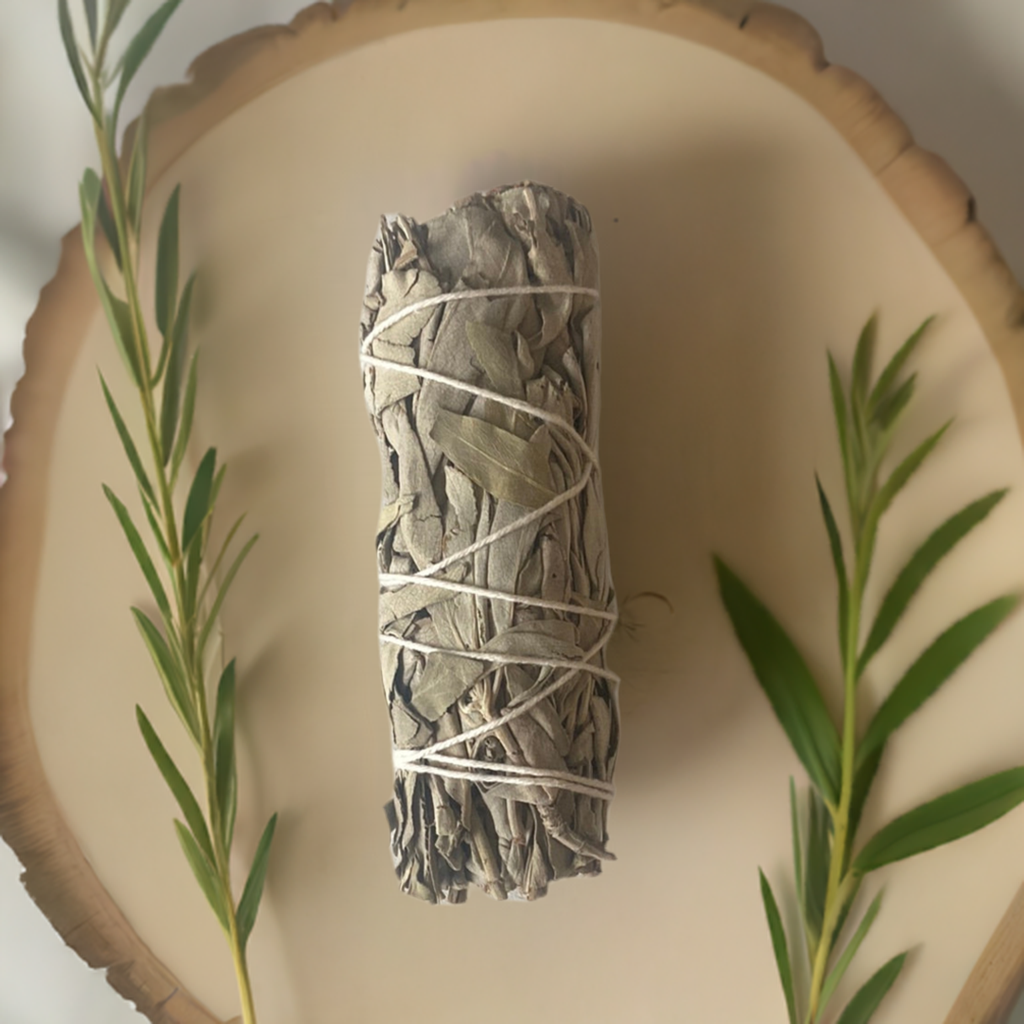 White Sage 4 inch