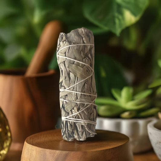 White Sage 4 inch