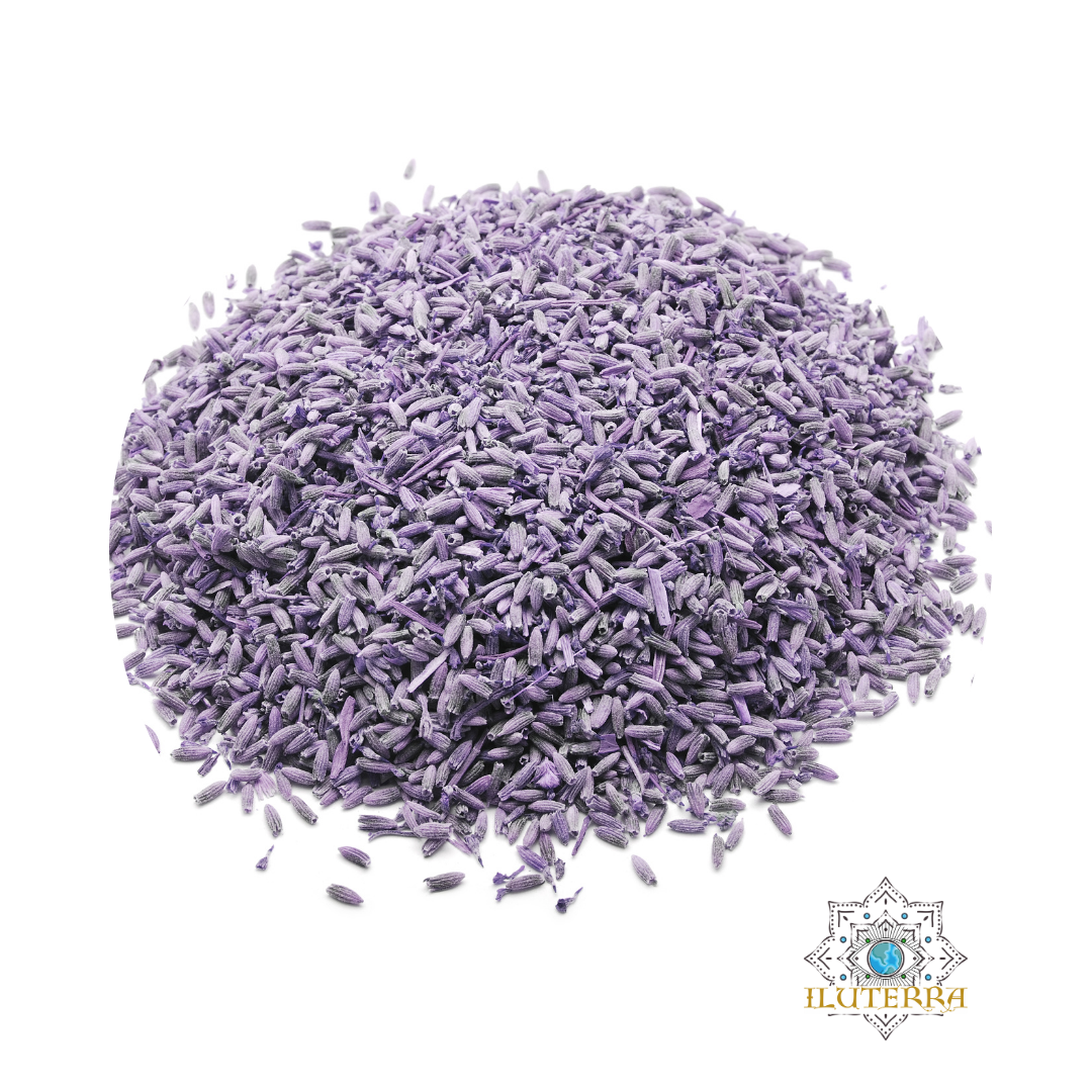 Lavender Flower Extra Blue (8oz)