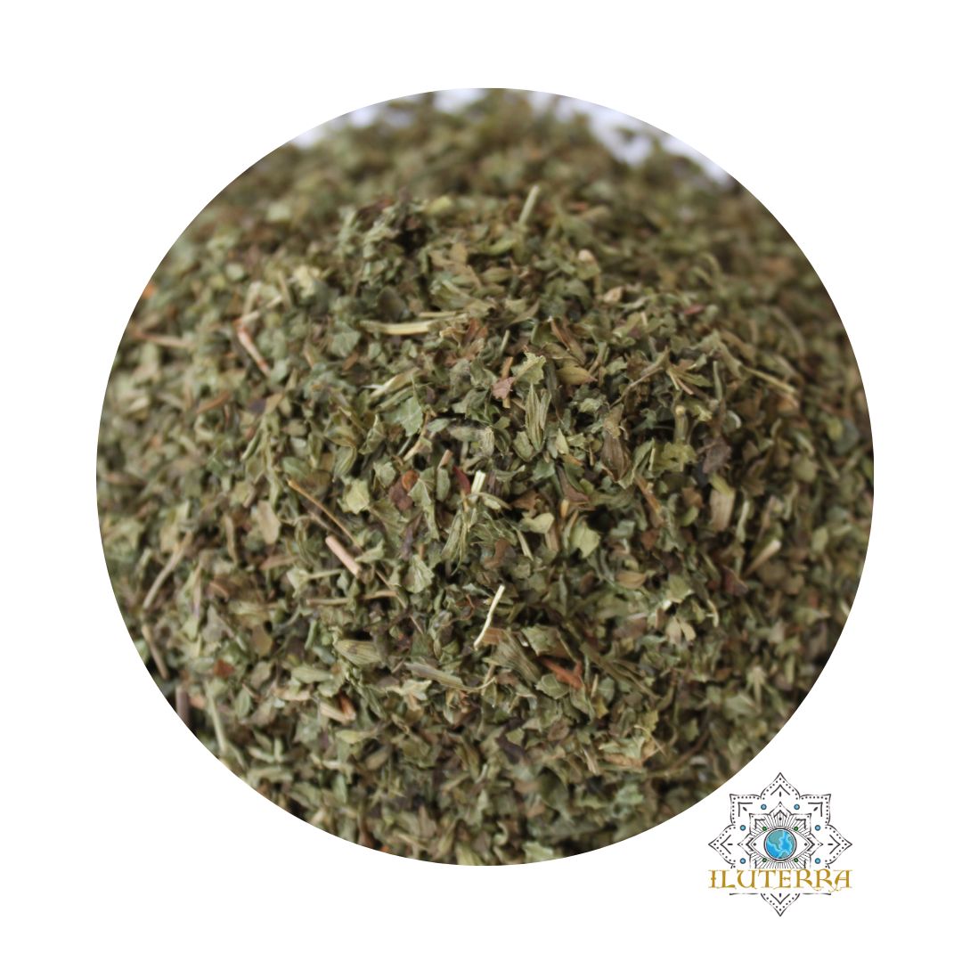 Lemon Balm (0.5 oz)