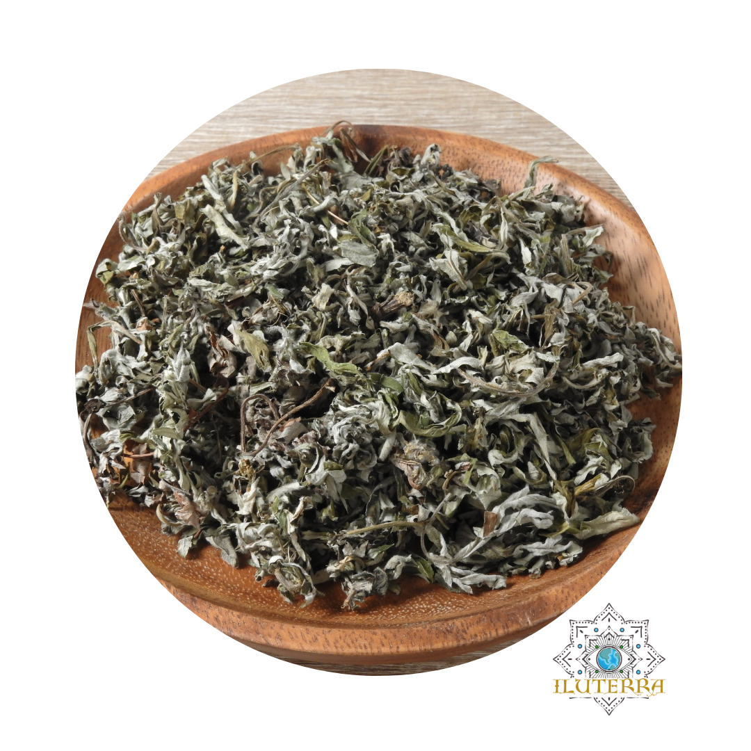 Mugwort Herb (1oz)