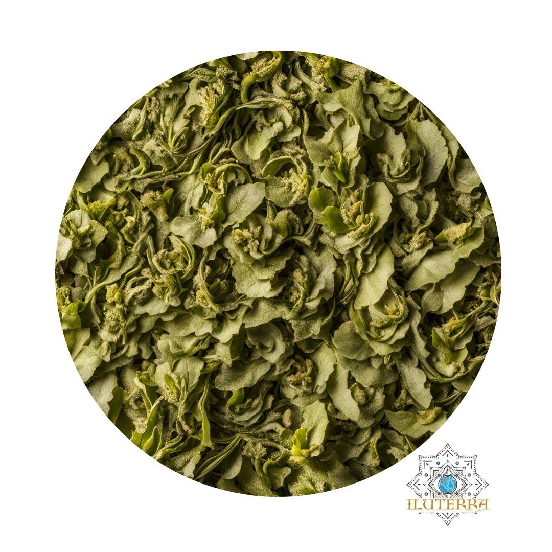 Mullein Leaf (.9oz)