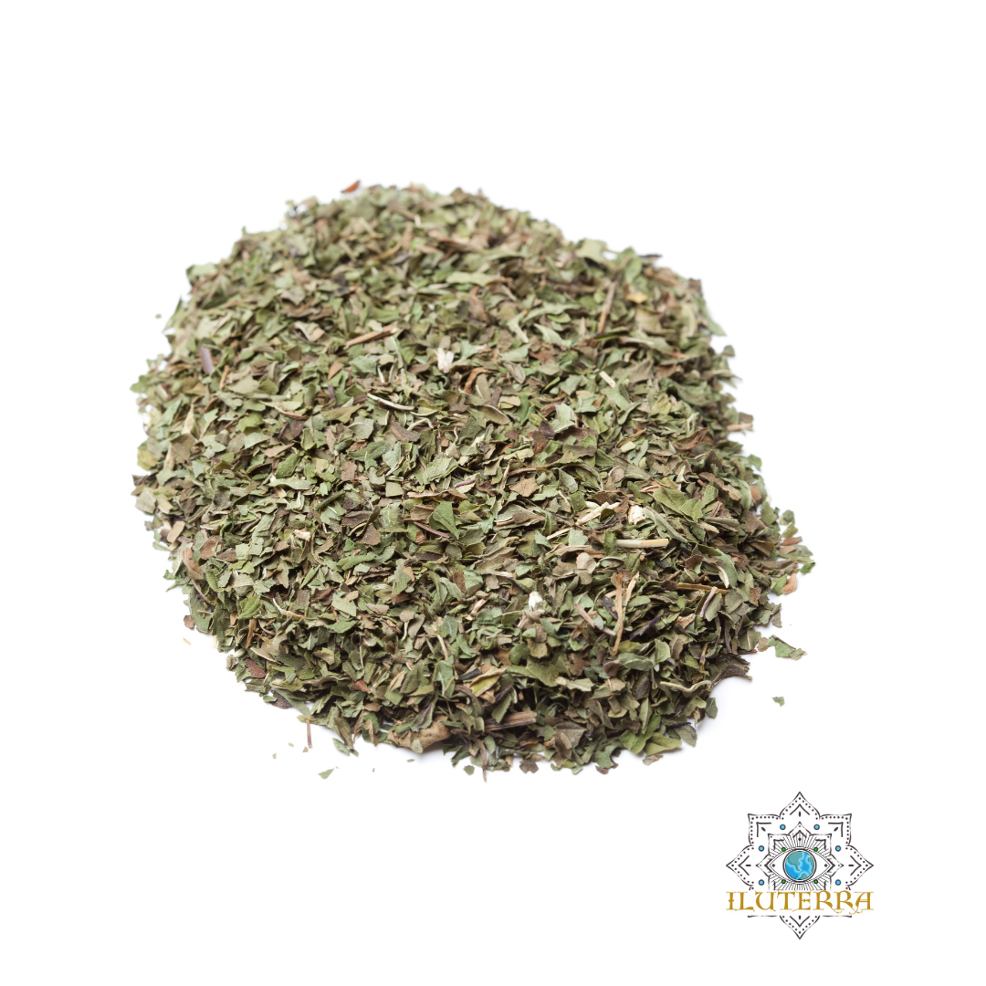 Peppermint Leaf (1oz)
