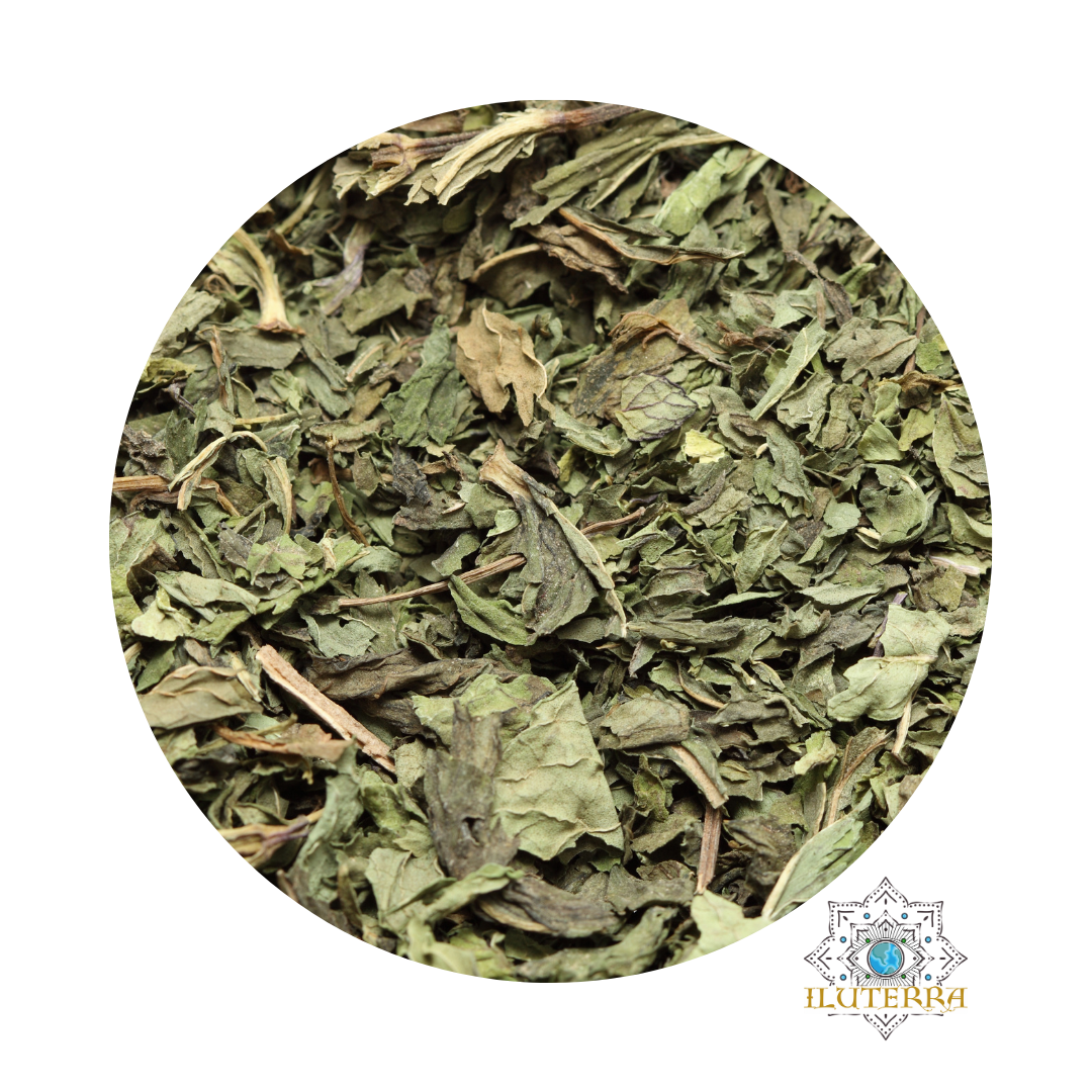 Spearmint Leaf (0.5 oz)