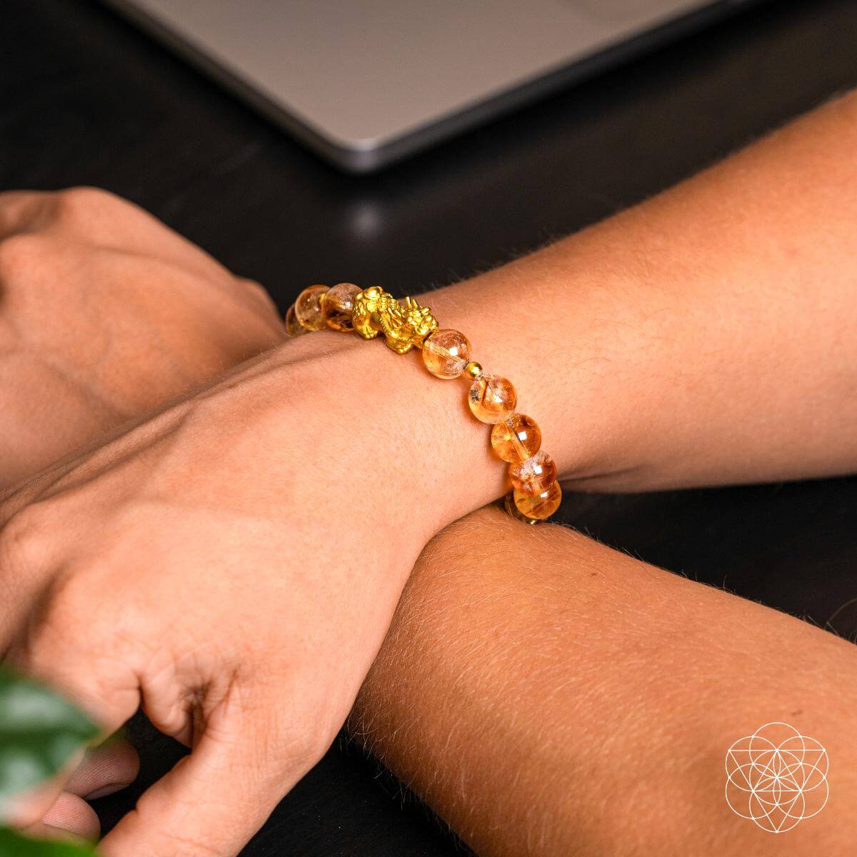 La pulsera de la riqueza definitiva