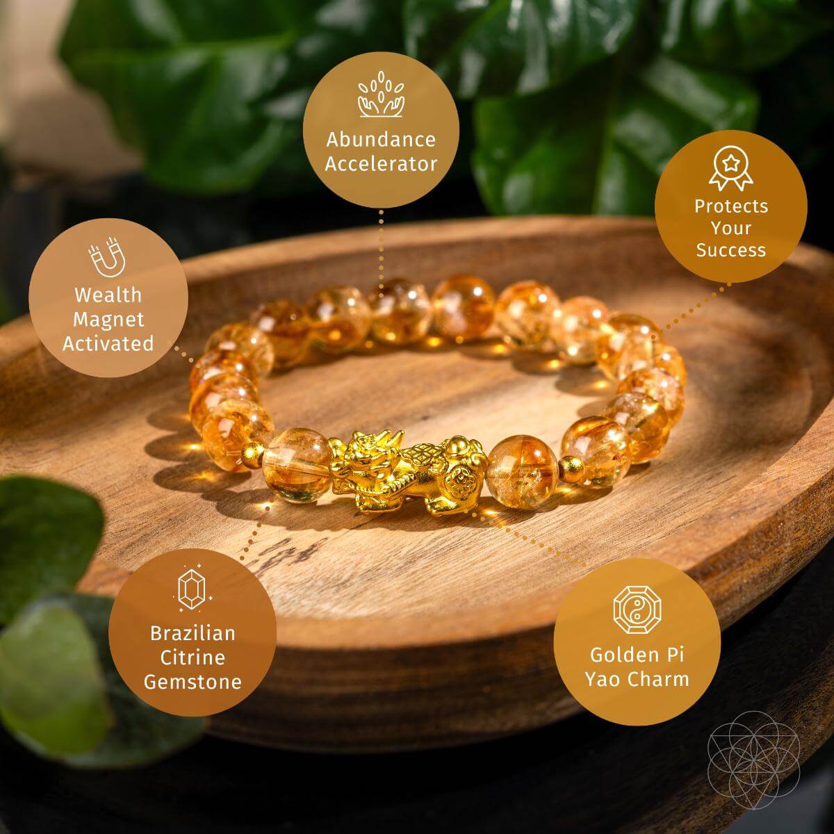 La pulsera de la riqueza definitiva