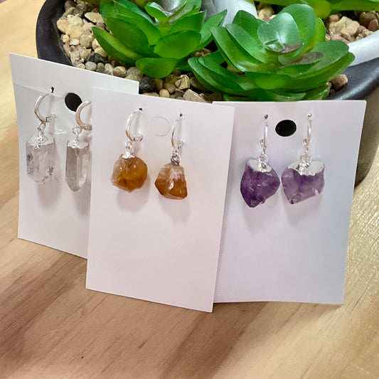 Silver Plated Hoop with Point Earrings
