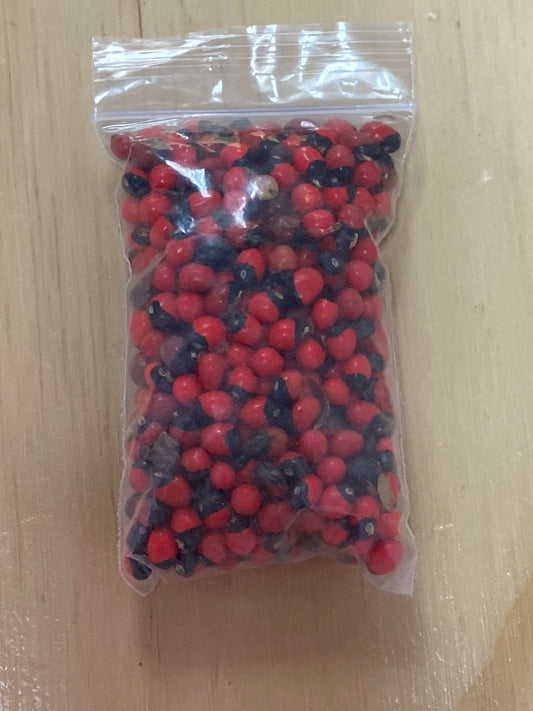 Rosary Peas (Jequirity Beans) – Spiritual Protection Seeds