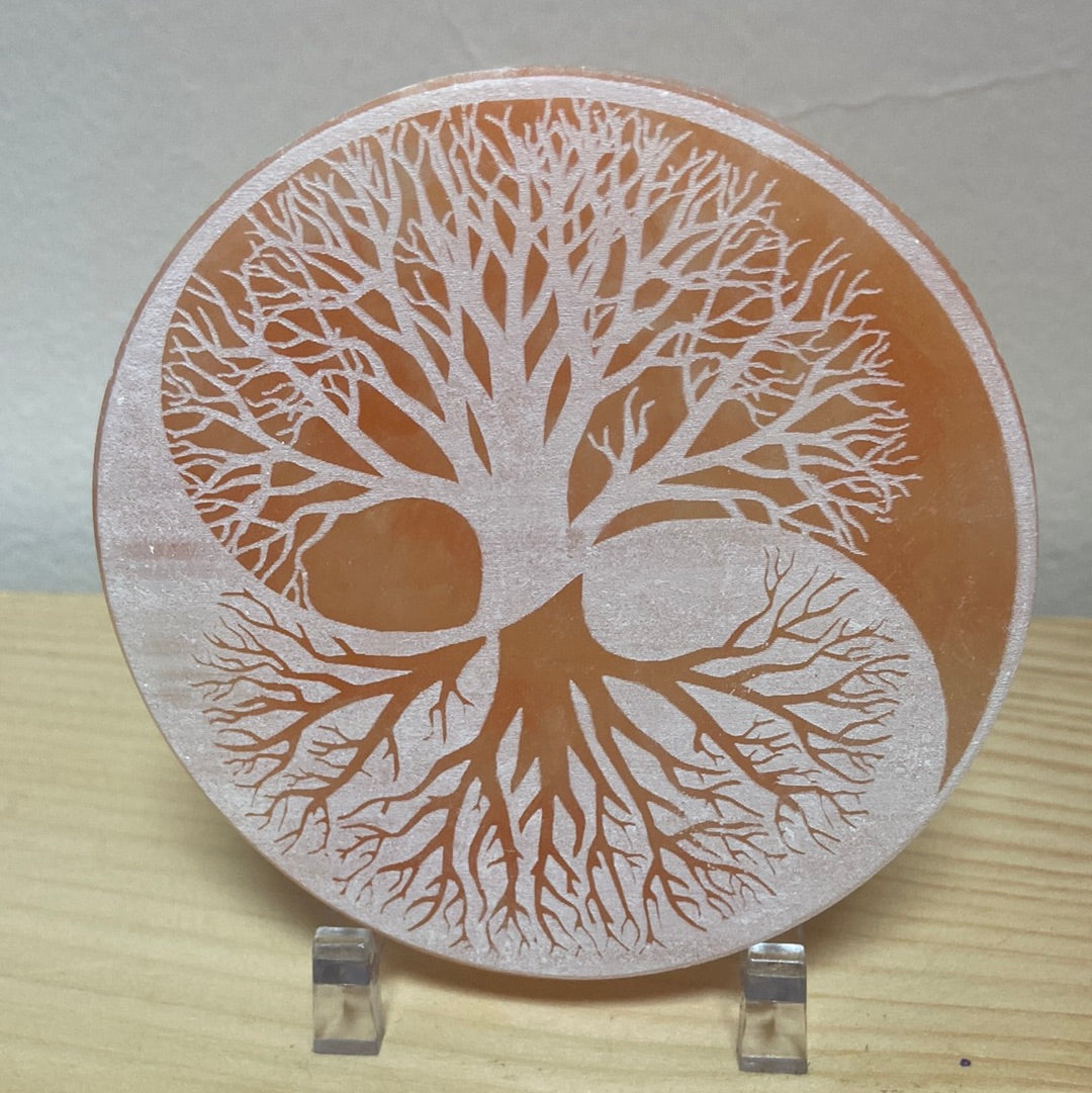 Tree of Life Pink Selenite Disc