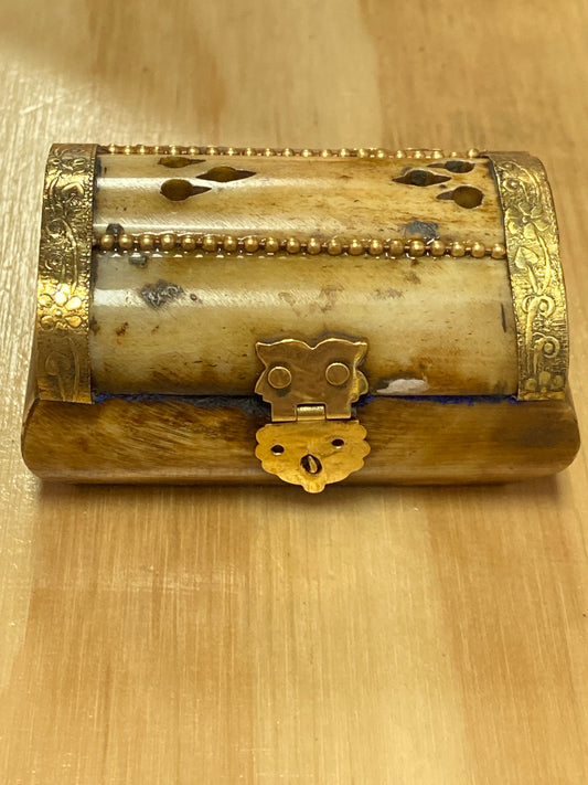 Carved Bone Box