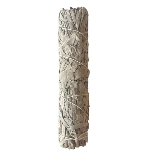 9 inch White Sage Smudge - Iluterra