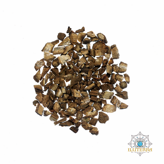 Burdock Root (1 oz)