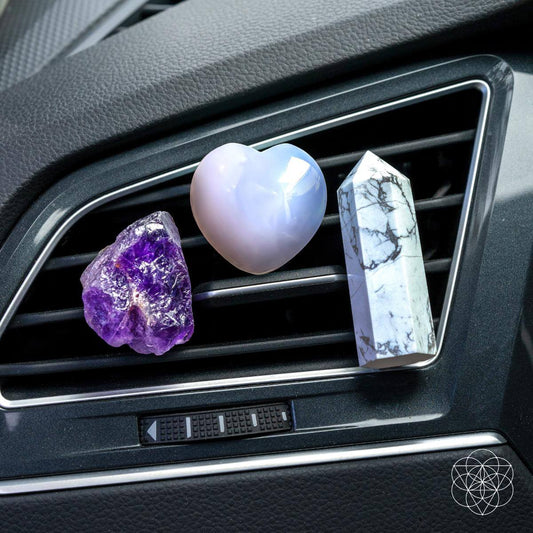 Conductor concentrado - Kit de protección Crystal Car