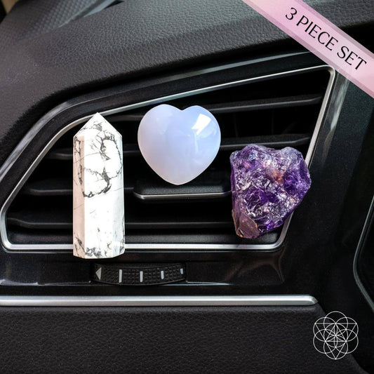 Conductor concentrado - Kit de protección Crystal Car