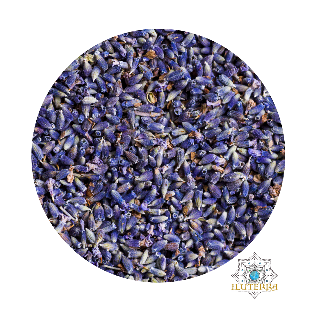 Lavender Flowers Semi Blue (0.5 oz)