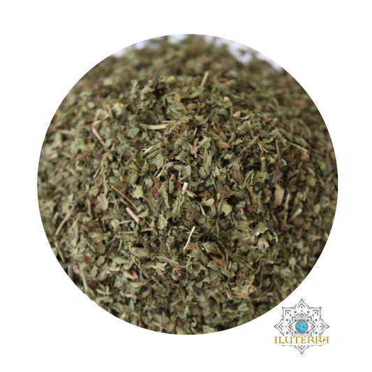 Lemon Balm (0.5 oz)