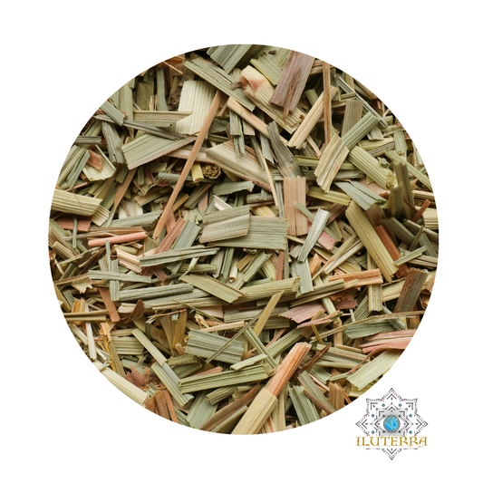 Lemongrass Herb (0.5 oz)