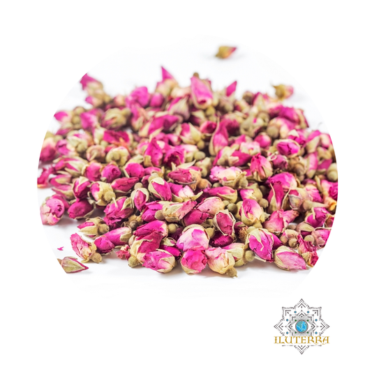 Rose Petals and Buds (Pink) (0.5 oz)