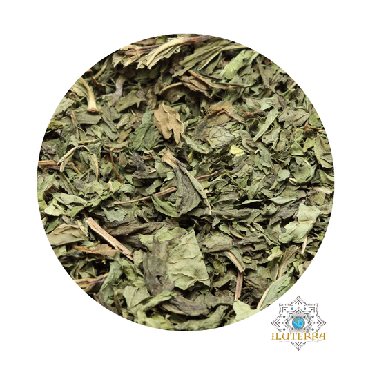 Hoja de menta verde (0,5 oz)