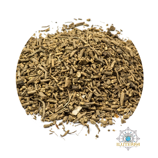 Valerian Root (1 oz)