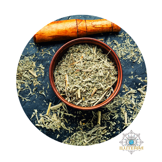 Wormwood Herb (1 oz)